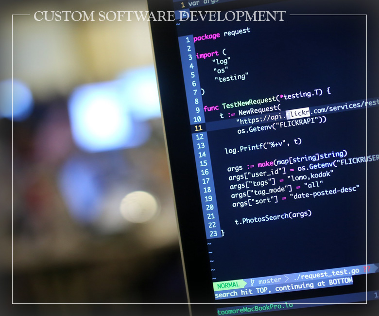 software solution company