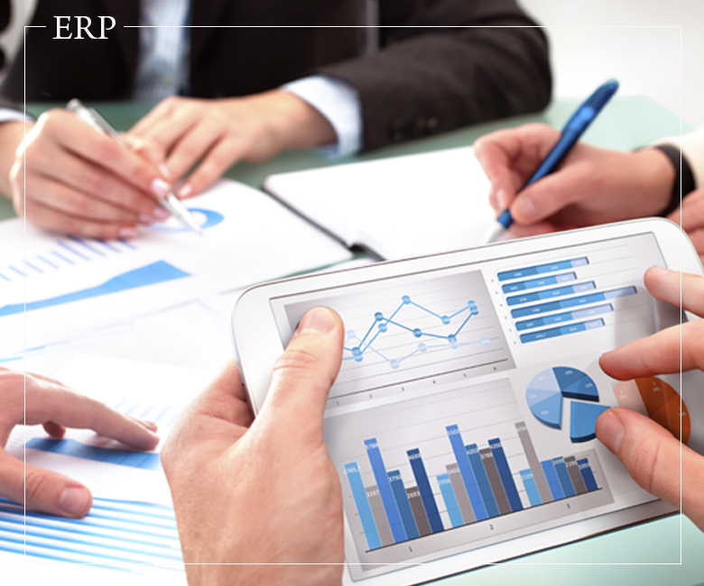 business software development
